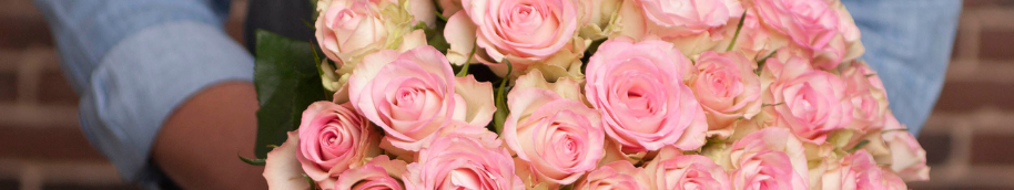 banniere-rose banniere-rose