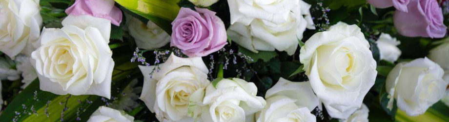 bannière de fleurs blanches et violettes