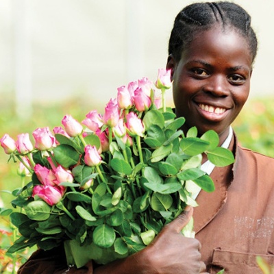 Fleurs françaises & roses équitables | Aquarelle