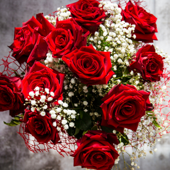 roses_rouges roses_rouges