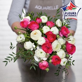 DÉCOUVREZ LES RENONCULES DU VAR DÉCOUVREZ LES RENONCULES DU VAR