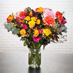 feu-d-artifice feu-d-artifice