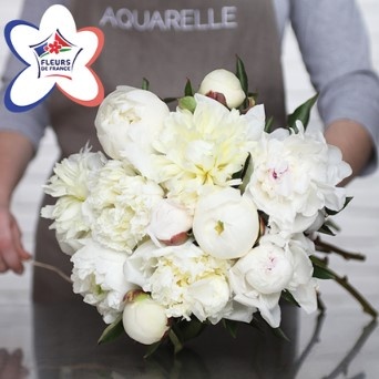 DÉCOUVREZ NOS PIVOINES BLANCHES DÉCOUVREZ NOS PIVOINES BLANCHES