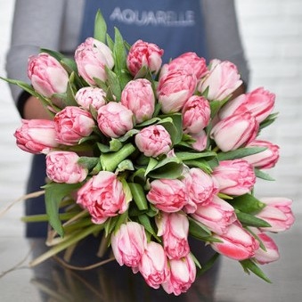 BOUQUET TULIPES 'FOXTROT'