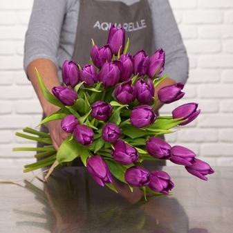 BOUQUET DE TULIPES PURPLE