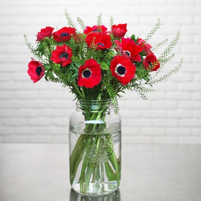 bouquet d'anémones rouges dans un bocal en verre bouquet d'anémones rouges